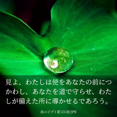 Picture 03 - 出エジプト記 23:20 JPN - 見よ、わたしは使をあなたの前につ - Bible Verse Picture