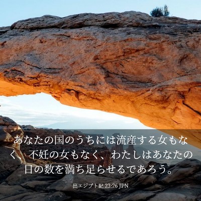 Picture 03 - 出エジプト記 23:26 JPN - あなたの国のうちには流産する女も - Bible Verse Picture