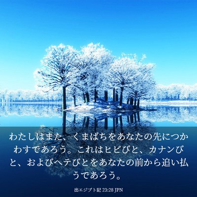 Picture 03 - 出エジプト記 23:28 JPN - わたしはまた、くまばちをあなたの - Bible Verse Picture