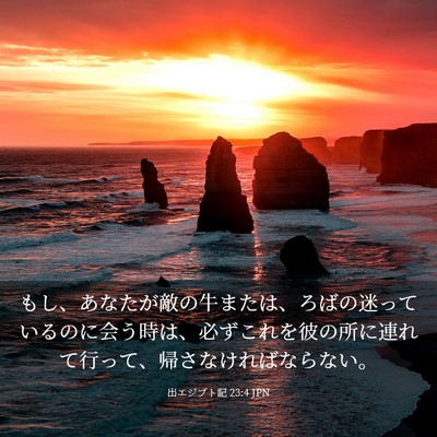 Picture 03 - 出エジプト記 23:4 JPN - もし、あなたが敵の牛または、ろば - Bible Verse Picture