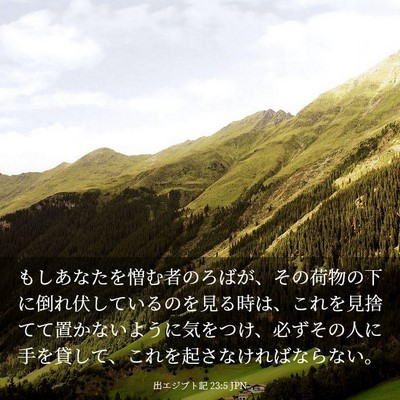 Picture 03 - 出エジプト記 23:5 JPN - もしあなたを憎む者のろばが、その - Bible Verse Picture