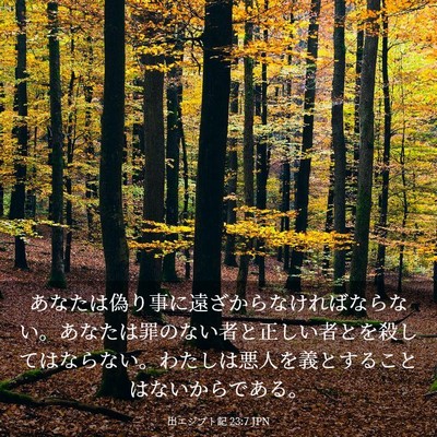 Picture 03 - 出エジプト記 23:7 JPN - あなたは偽り事に遠ざからなければ - Bible Verse Picture