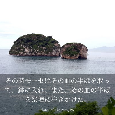 Picture 03 - 出エジプト記 24:6 JPN - その時モーセはその血の半ばを取っ - Bible Verse Picture