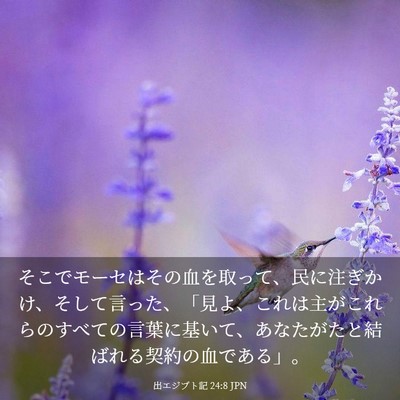 Picture 03 - 出エジプト記 24:8 JPN - そこでモーセはその血を取って、民 - Bible Verse Picture