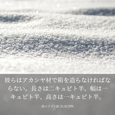 Picture 03 - 出エジプト記 25:10 JPN - 彼らはアカシヤ材で箱を造らなけれ - Bible Verse Picture