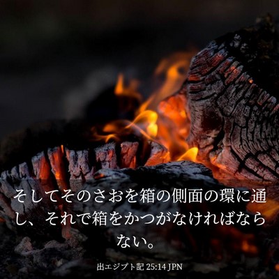 Picture 03 - 出エジプト記 25:14 JPN - そしてそのさおを箱の側面の環に通 - Bible Verse Picture