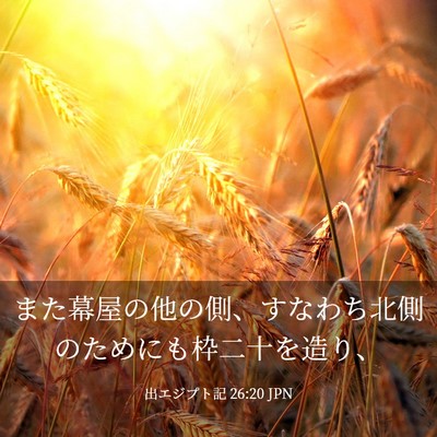 Picture 03 - 出エジプト記 26:20 JPN - また幕屋の他の側、すなわち北側の - Bible Verse Picture