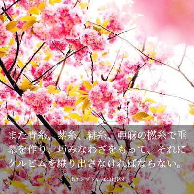 Picture 03 - 出エジプト記 26:31 JPN - また青糸、紫糸、緋糸、亜麻の撚糸 - Bible Verse Picture