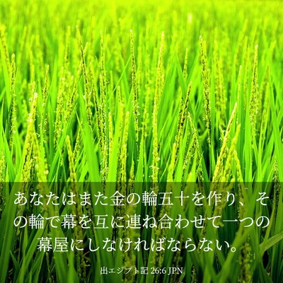 Picture 03 - 出エジプト記 26:6 JPN - あなたはまた金の輪五十を作り、そ - Bible Verse Picture