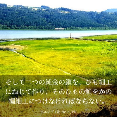 Picture 03 - 出エジプト記 28:14 JPN - そして二つの純金の鎖を、ひも細工 - Bible Verse Picture