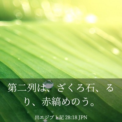 Picture 03 - 出エジプト記 28:18 JPN - 第二列は、ざくろ石、るり、赤縞め - Bible Verse Picture