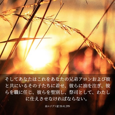 Picture 03 - 出エジプト記 28:41 JPN - そしてあなたはこれをあなたの兄弟 - Bible Verse Picture
