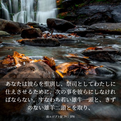 Picture 03 - 出エジプト記 29:1 JPN - あなたは彼らを聖別し、祭司として - Bible Verse Picture