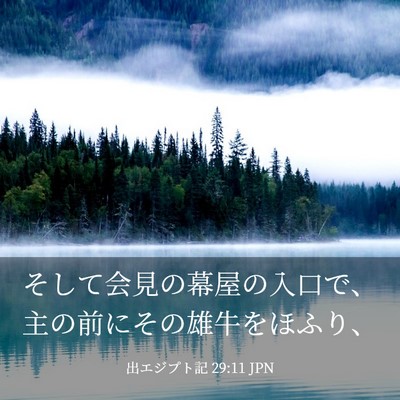 Picture 03 - 出エジプト記 29:11 JPN - そして会見の幕屋の入口で、主の前 - Bible Verse Picture