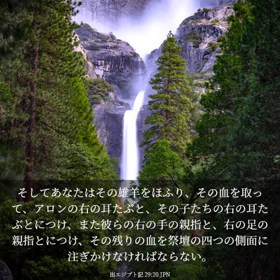 Picture 03 - 出エジプト記 29:20 JPN - そしてあなたはその雄羊をほふり、 - Bible Verse Picture