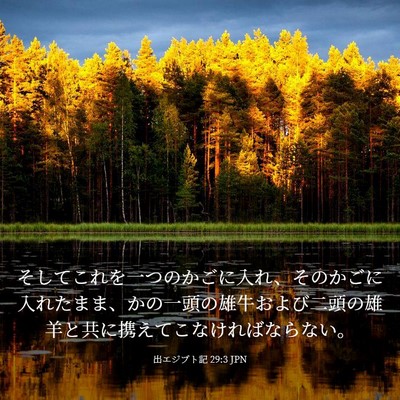 Picture 03 - 出エジプト記 29:3 JPN - そしてこれを一つのかごに入れ、そ - Bible Verse Picture