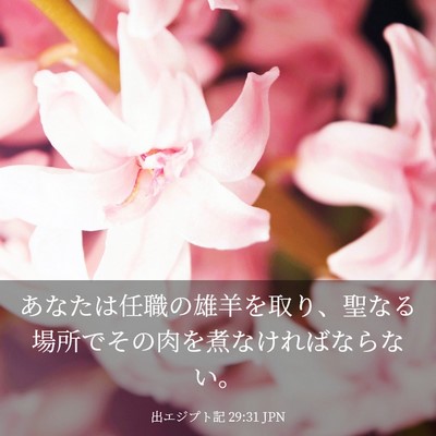 Picture 03 - 出エジプト記 29:31 JPN - あなたは任職の雄羊を取り、聖なる - Bible Verse Picture