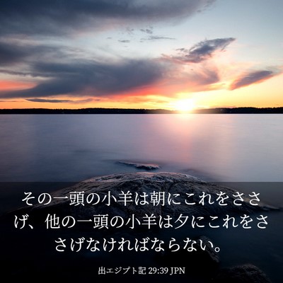 Picture 03 - 出エジプト記 29:39 JPN - その一頭の小羊は朝にこれをささげ - Bible Verse Picture