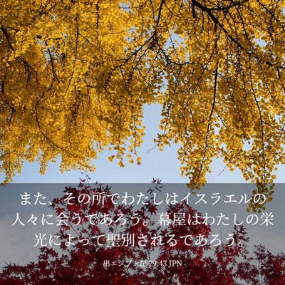Picture 03 - 出エジプト記 29:43 JPN - また、その所でわたしはイスラエル - Bible Verse Picture