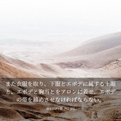 Picture 03 - 出エジプト記 29:5 JPN - また衣服を取り、下服とエポデに属 - Bible Verse Picture