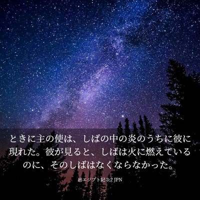 Picture 03 - 出エジプト記 3:2 JPN - ときに主の使は、しばの中の炎のう - Bible Verse Picture