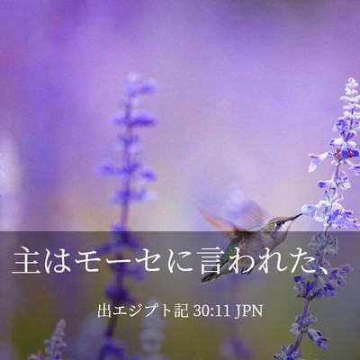 Picture 03 - 出エジプト記 30:11 JPN - 主はモーセに言われた、 - Bible Verse Picture