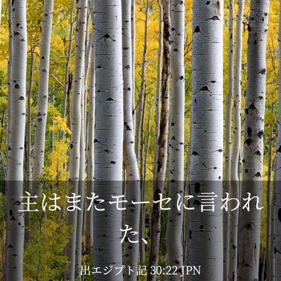 Picture 03 - 出エジプト記 30:22 JPN - 主はまたモーセに言われた、 - Bible Verse Picture