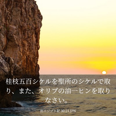 Picture 03 - 出エジプト記 30:24 JPN - 桂枝五百シケルを聖所のシケルで取 - Bible Verse Picture