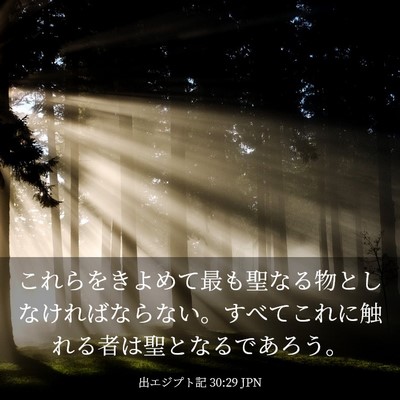 Picture 03 - 出エジプト記 30:29 JPN - これらをきよめて最も聖なる物とし - Bible Verse Picture