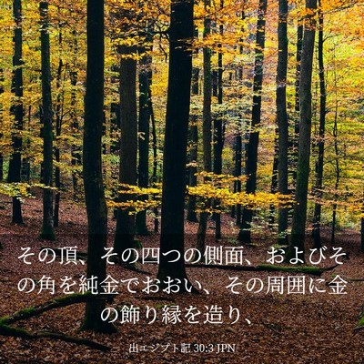 Picture 03 - 出エジプト記 30:3 JPN - その頂、その四つの側面、およびそ - Bible Verse Picture