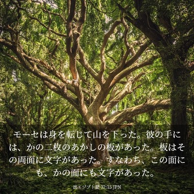 Picture 03 - 出エジプト記 32:15 JPN - モーセは身を転じて山を下った。彼 - Bible Verse Picture
