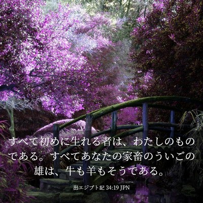Picture 03 - 出エジプト記 34:19 JPN - すべて初めに生れる者は、わたしの - Bible Verse Picture