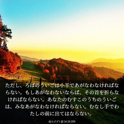 Picture 03 - 出エジプト記 34:20 JPN - ただし、ろばのういごは小羊であが - Bible Verse Picture