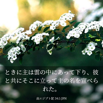 Picture 03 - 出エジプト記 34:5 JPN - ときに主は雲の中にあって下り、彼 - Bible Verse Picture