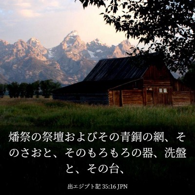 Picture 03 - 出エジプト記 35:16 JPN - 燔祭の祭壇およびその青銅の網、そ - Bible Verse Picture