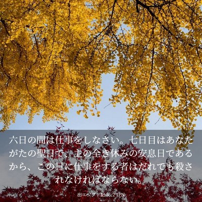 Picture 03 - 出エジプト記 35:2 JPN - 六日の間は仕事をしなさい。七日目 - Bible Verse Picture