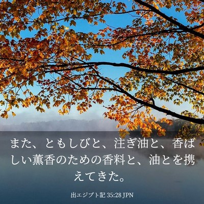Picture 03 - 出エジプト記 35:28 JPN - また、ともしびと、注ぎ油と、香ば - Bible Verse Picture
