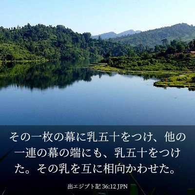 Picture 03 - 出エジプト記 36:12 JPN - その一枚の幕に乳五十をつけ、他の - Bible Verse Picture