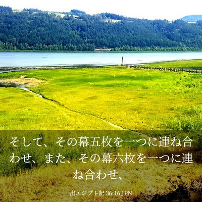 Picture 03 - 出エジプト記 36:16 JPN - そして、その幕五枚を一つに連ね合 - Bible Verse Picture
