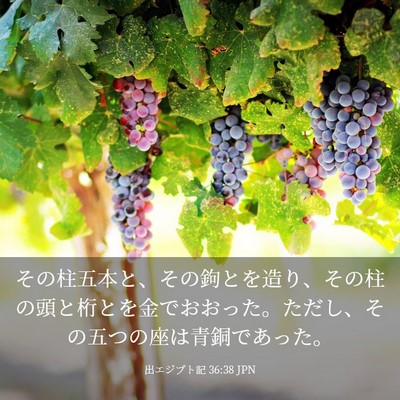 Picture 03 - 出エジプト記 36:38 JPN - その柱五本と、その鉤とを造り、そ - Bible Verse Picture