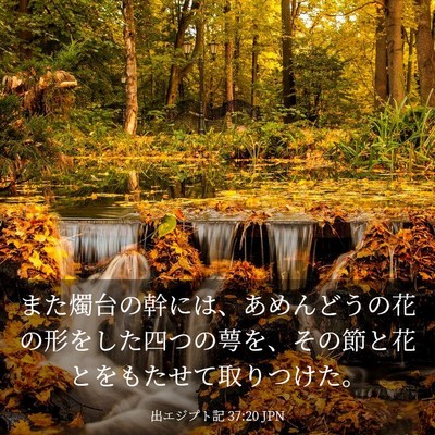 Picture 03 - 出エジプト記 37:20 JPN - また燭台の幹には、あめんどうの花 - Bible Verse Picture