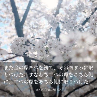 Picture 03 - 出エジプト記 37:3 JPN - また金の環四つを鋳て、その四すみ - Bible Verse Picture