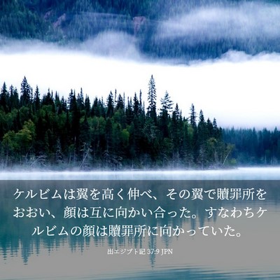Picture 03 - 出エジプト記 37:9 JPN - ケルビムは翼を高く伸べ、その翼で - Bible Verse Picture