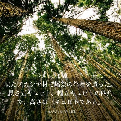 Picture 03 - 出エジプト記 38:1 JPN - またアカシヤ材で燔祭の祭壇を造っ - Bible Verse Picture