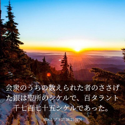 Picture 03 - 出エジプト記 38:25 JPN - 会衆のうちの数えられた者のささげ - Bible Verse Picture