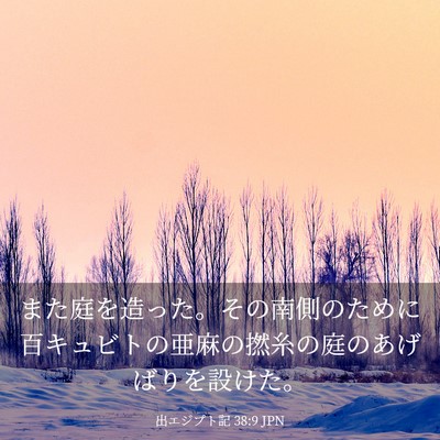 Picture 03 - 出エジプト記 38:9 JPN - また庭を造った。その南側のために - Bible Verse Picture