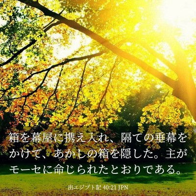 Picture 03 - 出エジプト記 40:21 JPN - 箱を幕屋に携え入れ、隔ての垂幕を - Bible Verse Picture