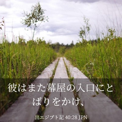 Picture 03 - 出エジプト記 40:28 JPN - 彼はまた幕屋の入口にとばりをかけ - Bible Verse Picture