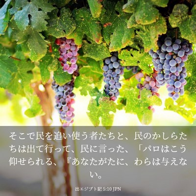 Picture 03 - 出エジプト記 5:10 JPN - そこで民を追い使う者たちと、民の - Bible Verse Picture