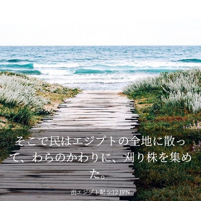 Picture 03 - 出エジプト記 5:12 JPN - そこで民はエジプトの全地に散って - Bible Verse Picture